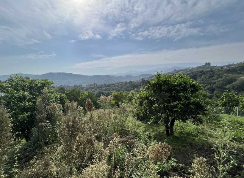 زمین کد 12 در پل سفید 5658