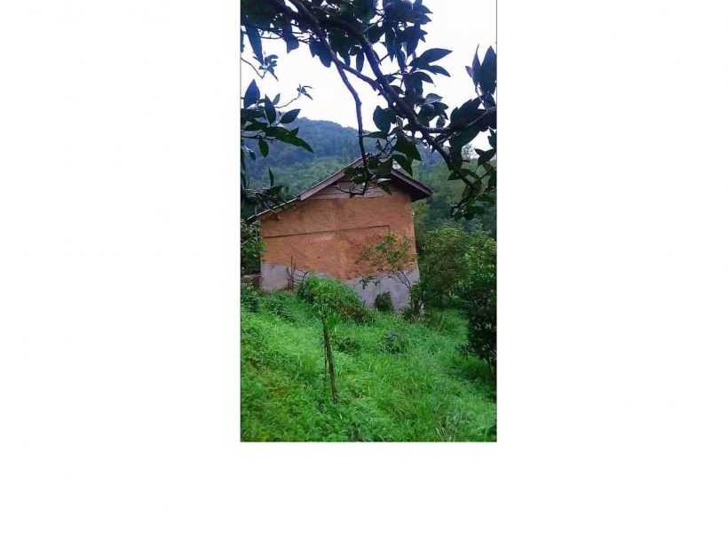 زمین کد 41 در بهنمیر 875585