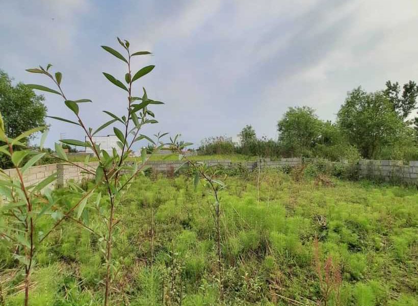 زمین کد 36 در مشهدی کلا 96748967496749479789