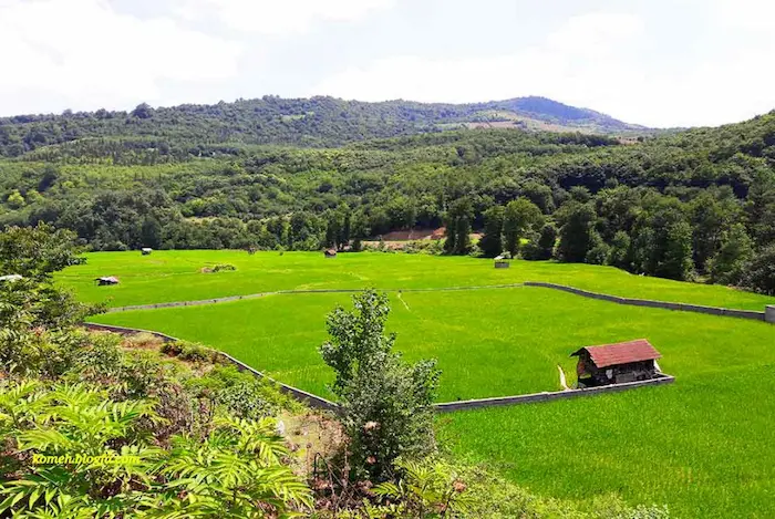 نمایی از روستای سرسبز دهکلان با جنگل های سرسبز و با طراوت