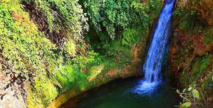 آبشار سرسبز پلنگ دره در بهار 541854164185
