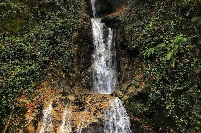 سقوط جریان زلال آب آبشار شی الیم از تخته سنگ های پوشیده از خزه 4964964
