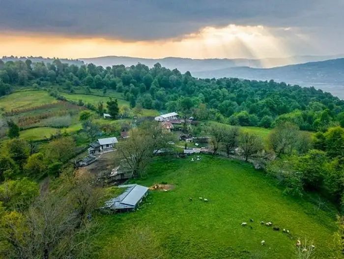 پوشش گیاهی اطراف روستای گالشکلا 59418414181