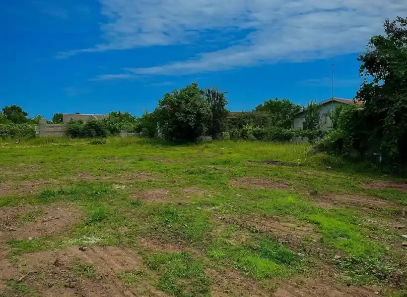 ویلاهای مسکونی و درختان سرسبز دراطراف زمین در شیرگاه