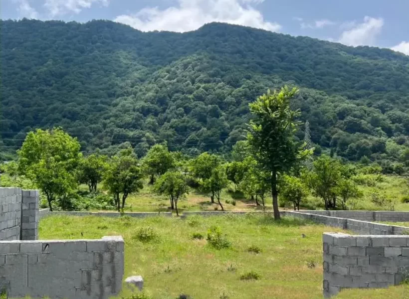 محوطه لوک چینی شده و درخت کاری شده اطراف زمین در سوادکوه