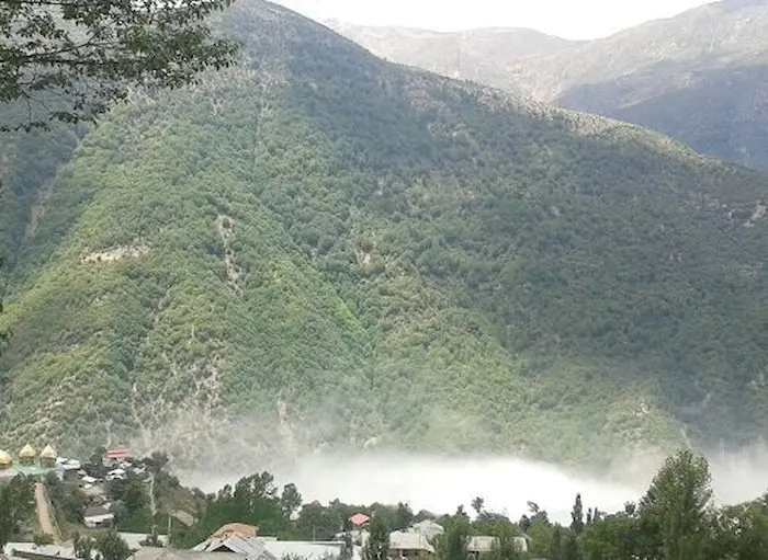 پوشش گیاهی سرسبز کوهستان های اطراف روستای باقرتنگه 1589786454