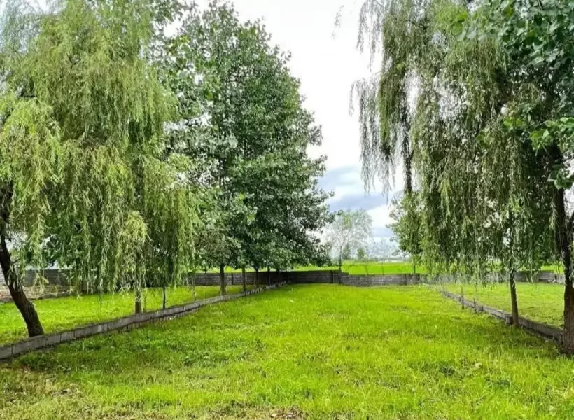 درختان سرسبز و بلوک چیده شده در اطراف زمین در بهنمیر