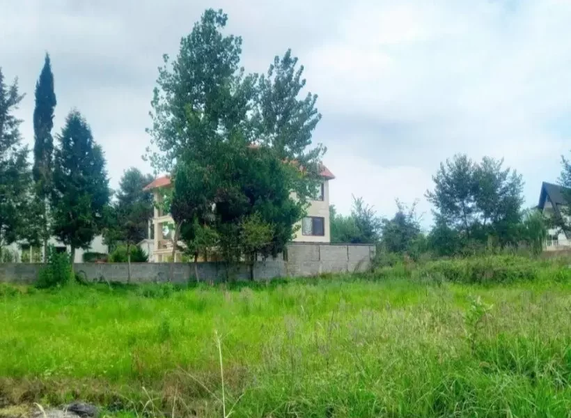 محوطه سرسبز و ویلای مسکونی در اطراف زمین در بهنمیر