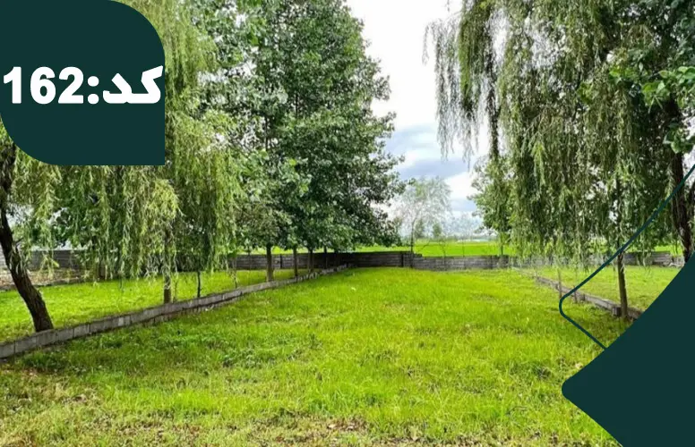 درختان سرسبز در اطراف زمین در بهنمیر