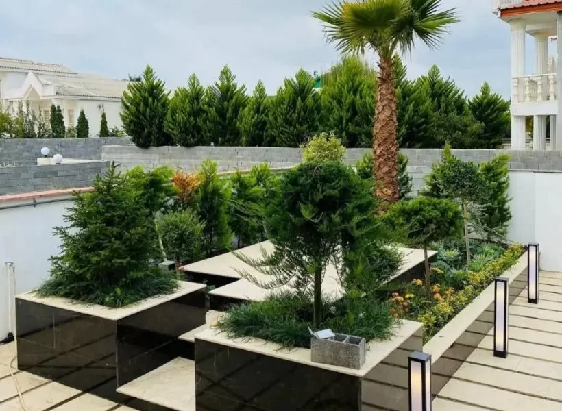 محوطه سنگ فرش شده و باغچه ی سرسبز ویلا در بابل