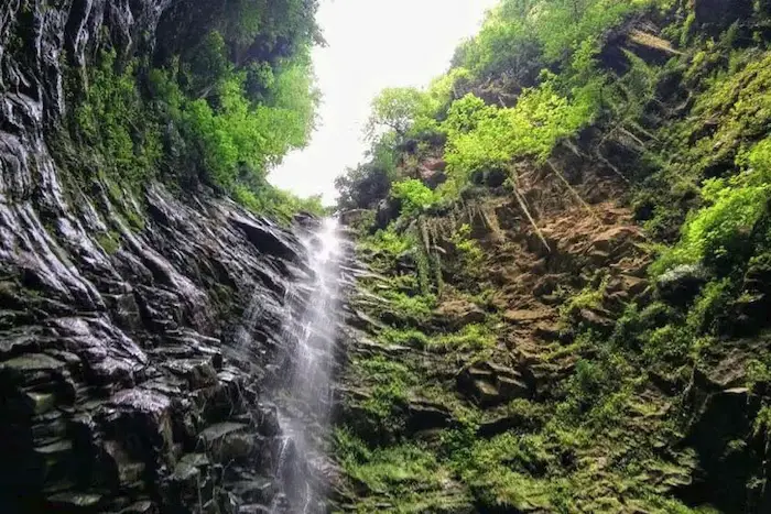 سرازیری قطرات آب از ازتفاعات آبشار گزو با تخته سنگ های خزه ای 4188