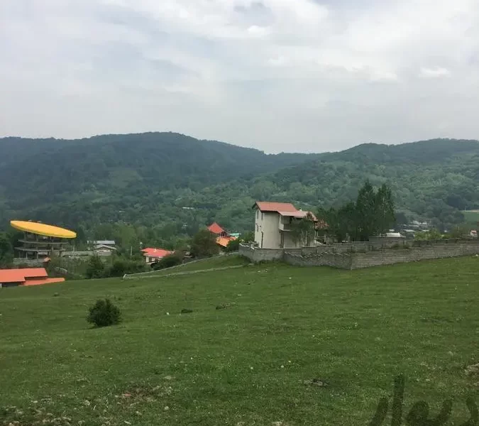 محوطه سرسبز و جنگلی زمین ییلاقی در سوادکوه