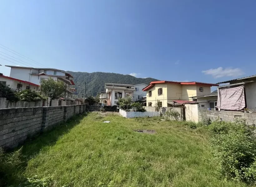 محوطه سرسبز زمین مسکونی در بابلسر