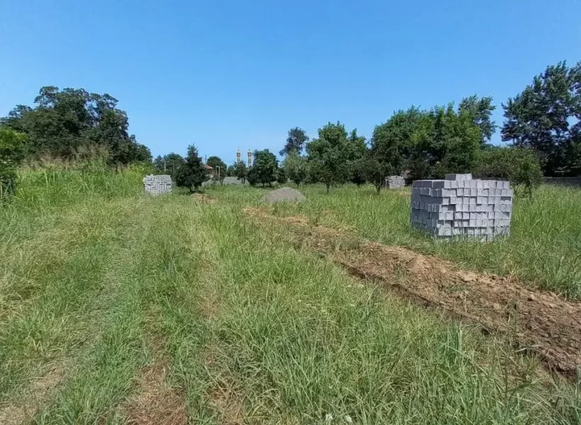 محوطه سرسبز زمین مسکونی در بهنمیر