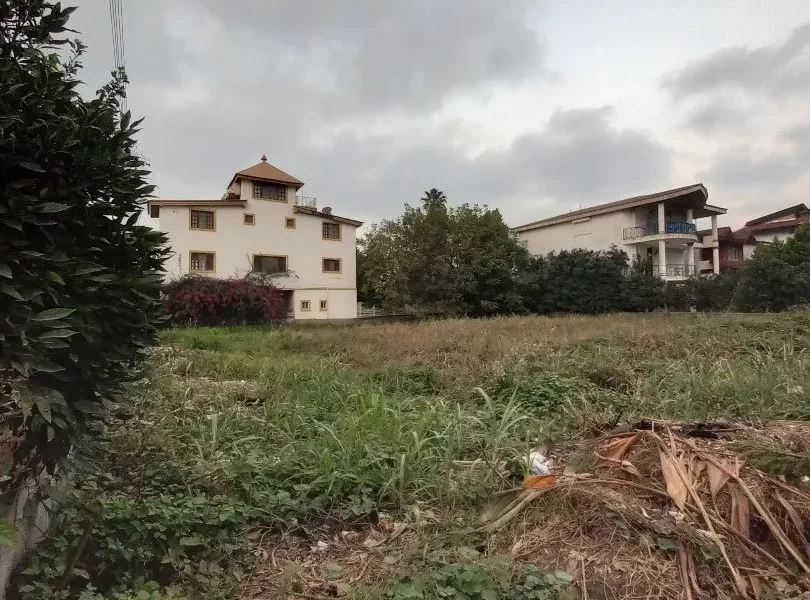 محوطه سرسبز زمین مسکونی در قائم شهر