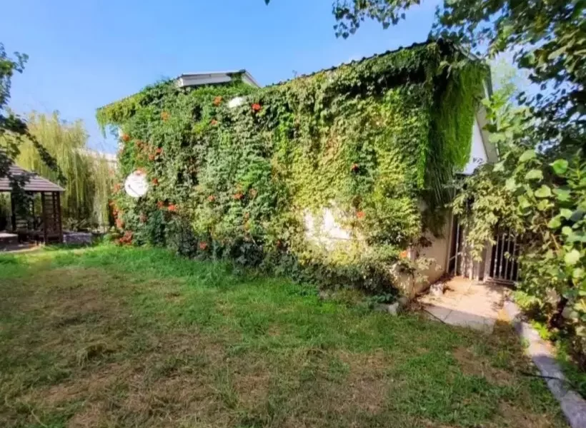 محوطه سرسبز ویلا در شیرگاه