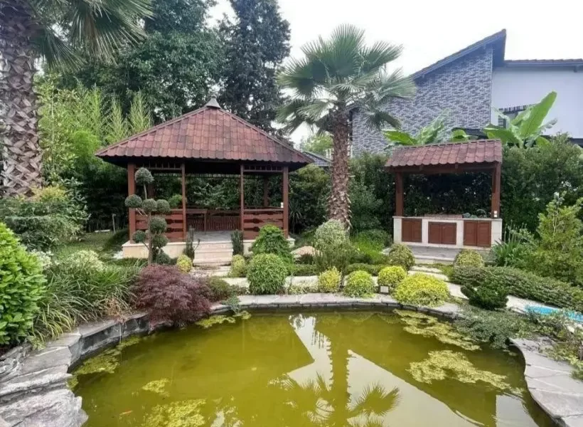 حوض متناسب با فضا و ابعاد و بوته های سبز اطراف ویلا در بابلسر 94641