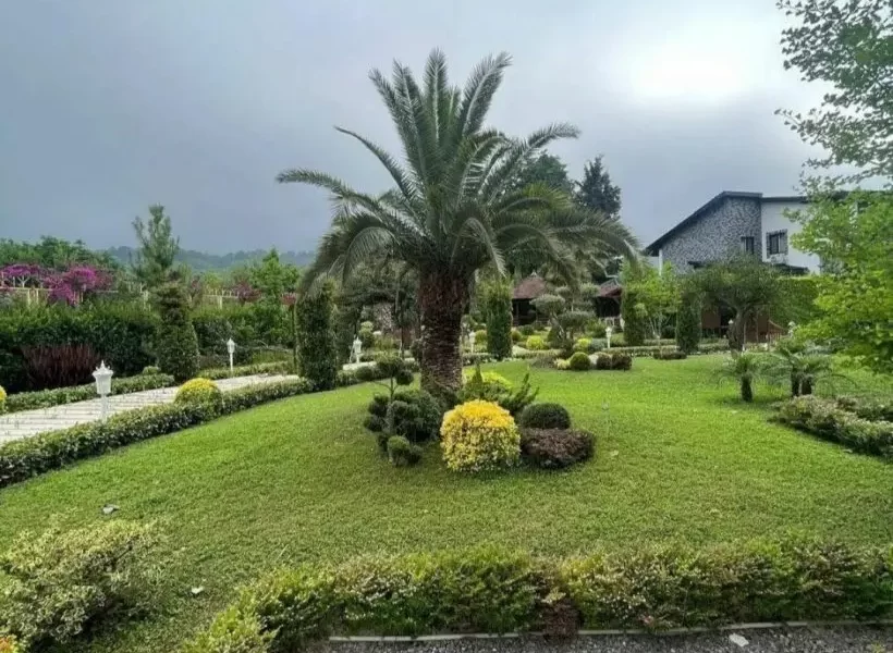 دیزاین خاص در کنار گیاهان سبز ویلا در بابلسر 945641