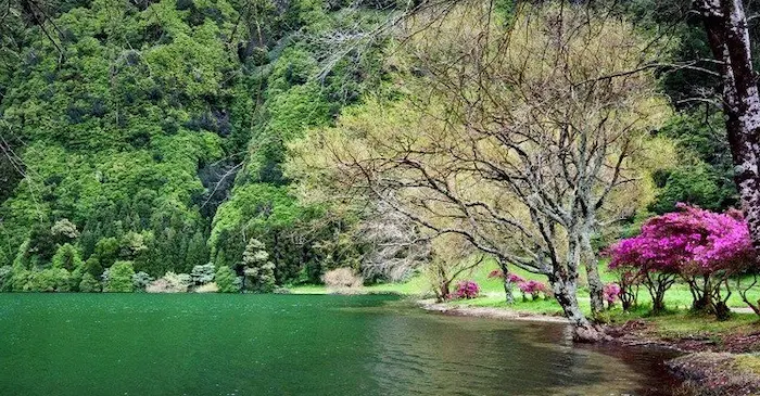 دریاچه شورمست سواد کوه در اوایل بهار 41549874651