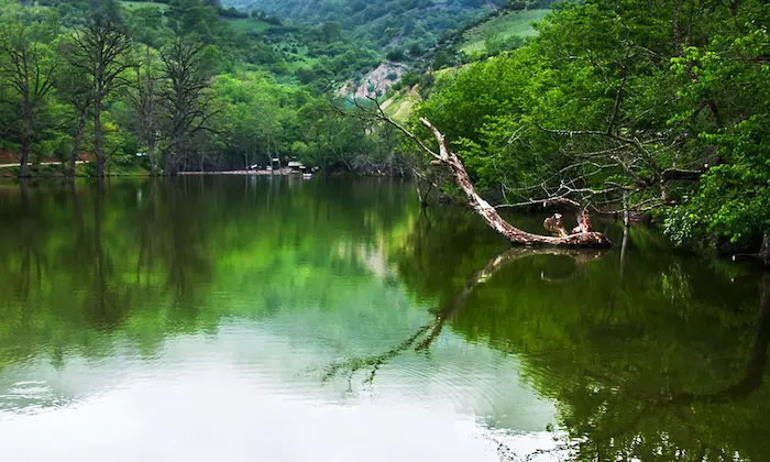 دریاچه آرام شورمست در سوادکوه 15648979841