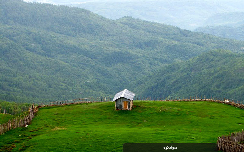 کلبه در کنار طبیعت سبز سوادکوه 46864