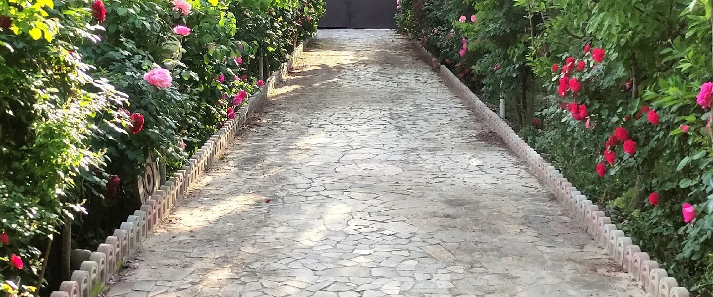 محوطه سرسبز و سنگ فرش شده خانه ویلایی در بابل 464854