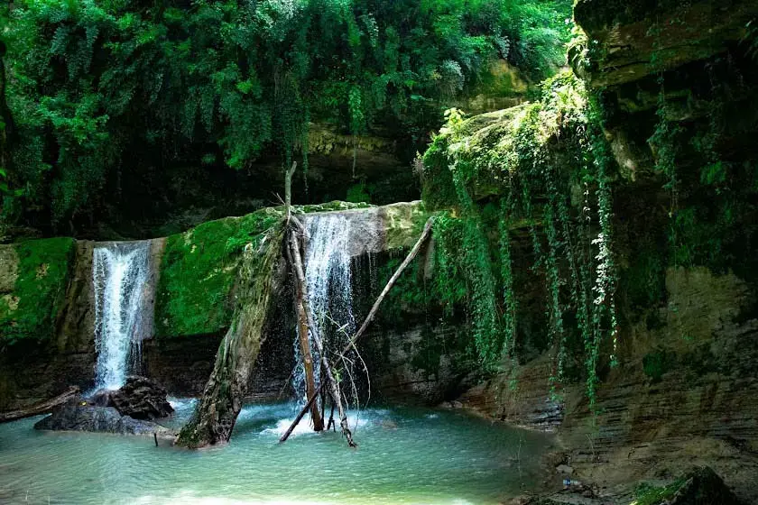 تنه درخت خزه بسته در رودخانه و آبشار هفتگانه تیرکن یکی از جاهای دیدنی اطراف روستای بورخانی 256151