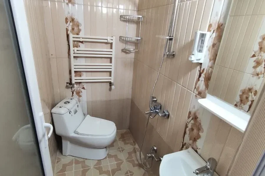 سرویس بهداشتی فرنگی و روشوی سنگی ویلا در قائمشهر 475546974356