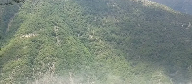 پوشش گیاهی سرسبز کوهستان های اطراف روستای باقرتنگه 1589786454