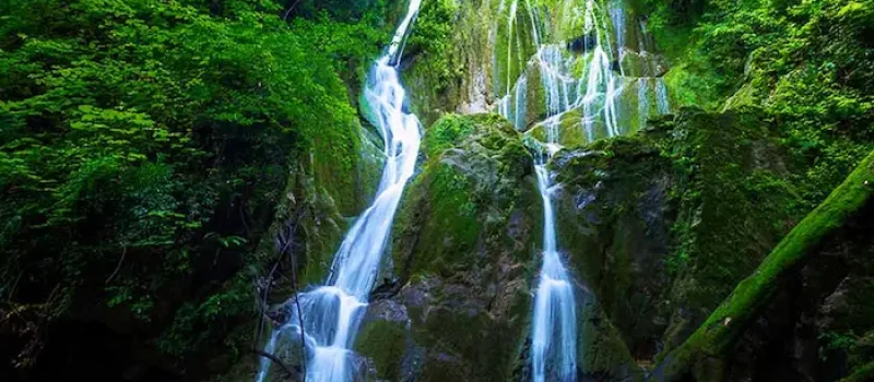 نمای زیبا از آبشار کلیره خروشان در دل جنگل سرسبز شهر بابل 5476765568